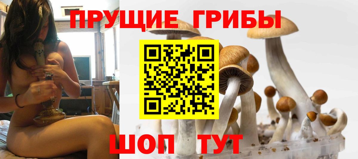 Галлюциногенные грибы GOLDEN TEACHER  Вход с VPN  Галлюциногенные грибы мицелий  Орск 